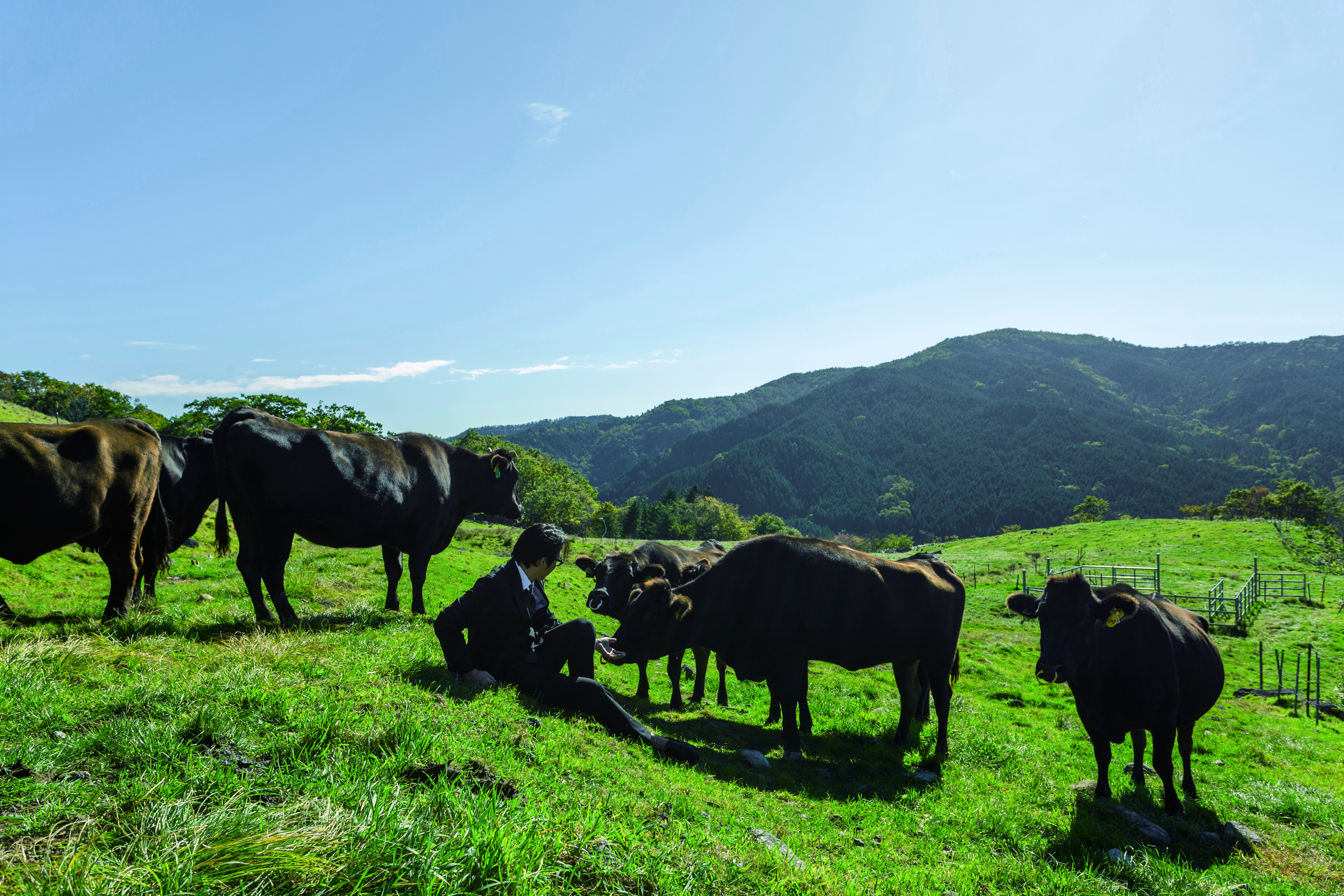 Đôi nét về tỉnh Gifu 